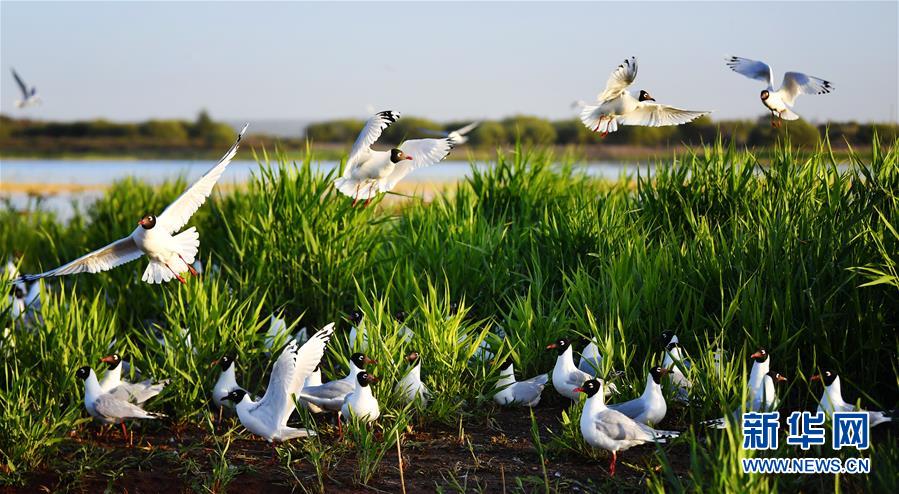 1126044729_15906471768121n.jpg 1126044729_15906471768121n.jpg