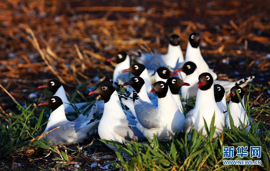 1126044729_15906471767251n.jpg 1126044729_15906471767251n.jpg